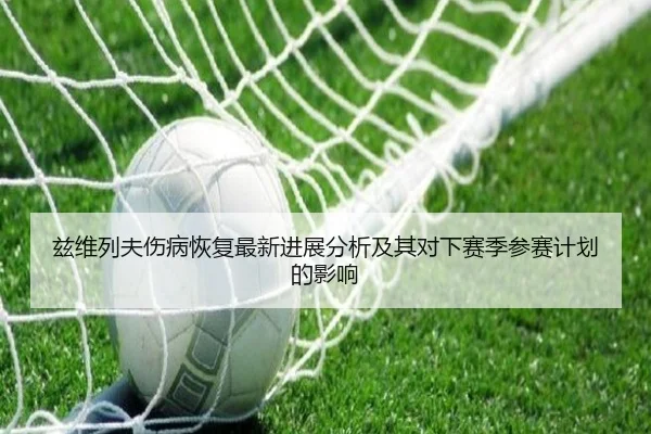 兹维列夫伤病恢复最新进展分析及其对下赛季参赛计划的影响